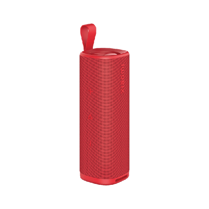 Xiaomi Speaker 30W